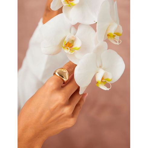 37864-anel-largo-liso-banho-ouro-18k-rosa-valverde-semijoias -3-